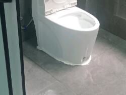 衛(wèi)生間有異味，有什么去除小技巧呢？